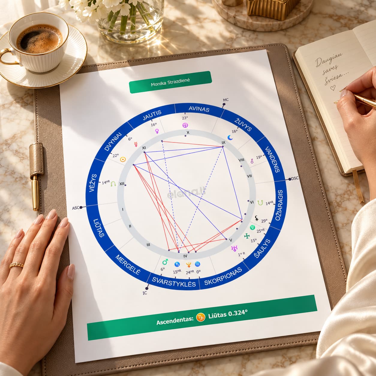 Gimimo diagrama ant stalo